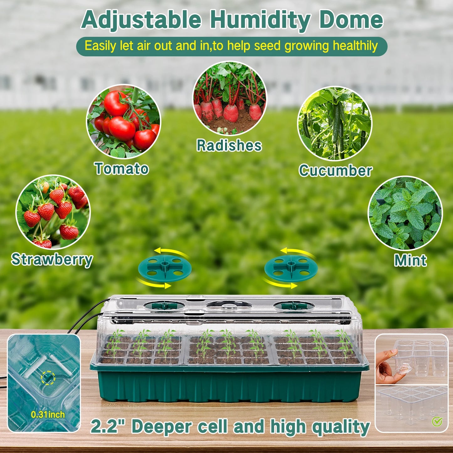 Seed starter tray with grow light, 36-cell seed germination kit, with humidity dome,and adjustable three-color lighting.