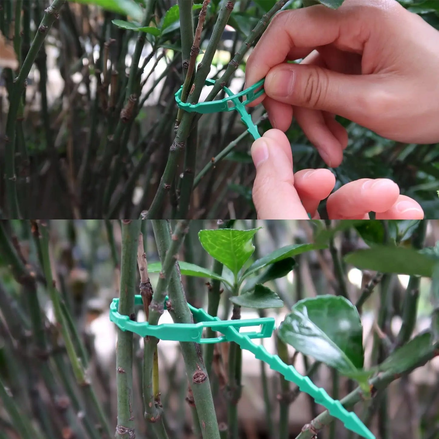 30/50/100/200pcs Reusable Garden Nylon Cable Tie Plant Support Bush Fastener Tree Lock Nylon Adjustable Plastic Gardening Cable