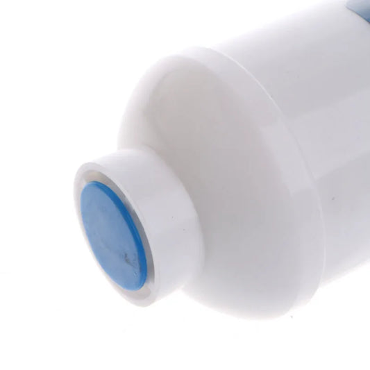 2024 New Activated T33 Carbon Post Water Filter Cartridges 10 inch Sme