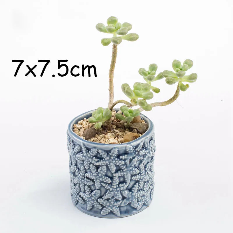 Pocelain Blue Fish Flower Vase European Style Cute Fleshy Flowerpot Mini Bonsai Cactus Flower Pot for Home Garden Home Decor