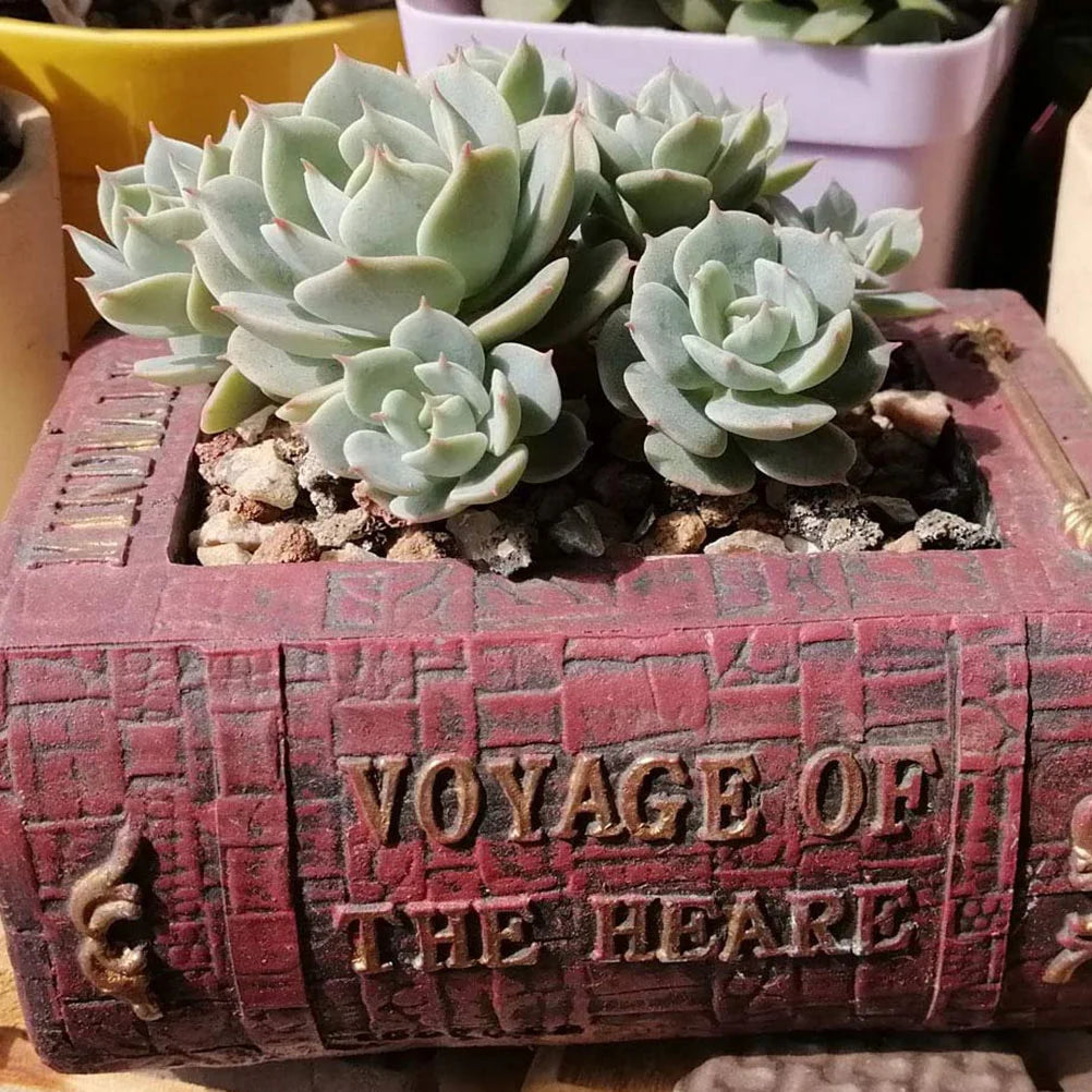 Mini Resin Book Design Flowerpot Bonsai Plant Container Desktop Decor Garden Balcony Office Decoration Gift Friends Indoor