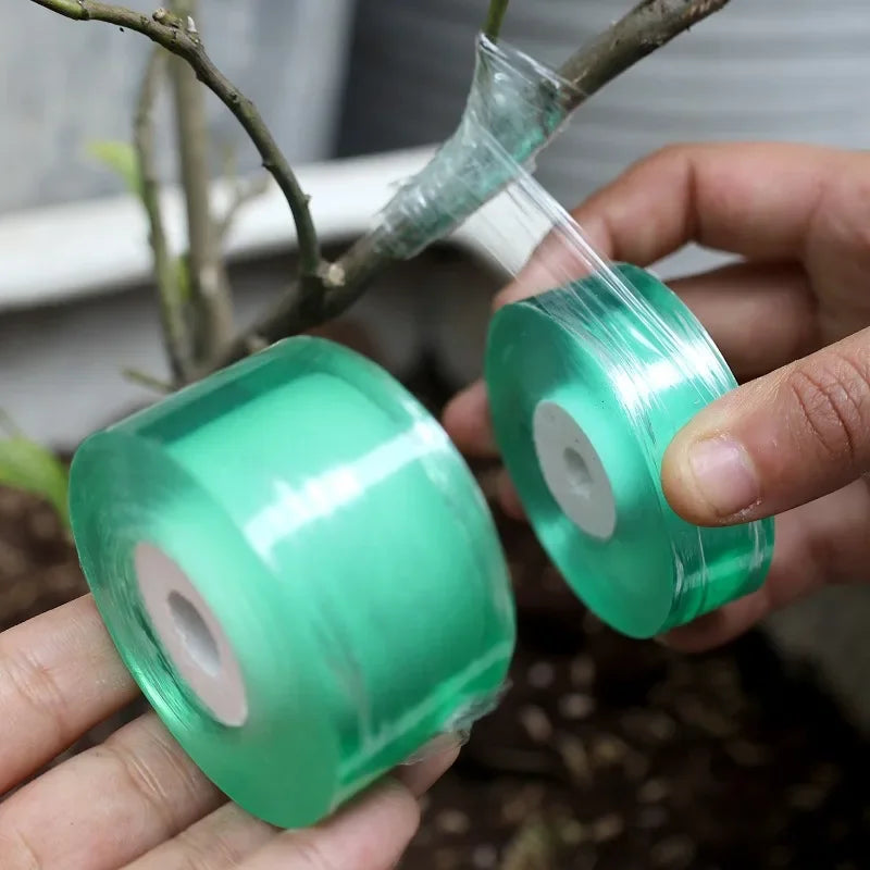 100/500m PE Grafting Tape Film Stretchable Self-adhesive Garden Tree Roll Tape Plants Seedlings Vine Tomato Grafting Accessories