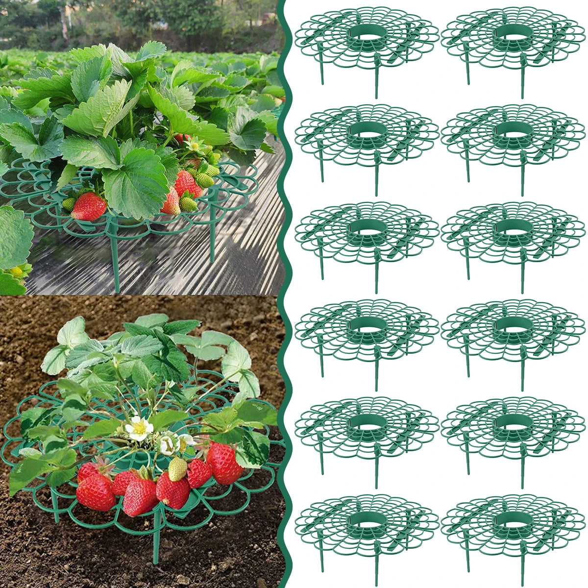 10Pcs Strawberry Supports Strawberry Frame Holder Balcony Planting Rack Plant Flower Stand for Home Garden Decor Supplies