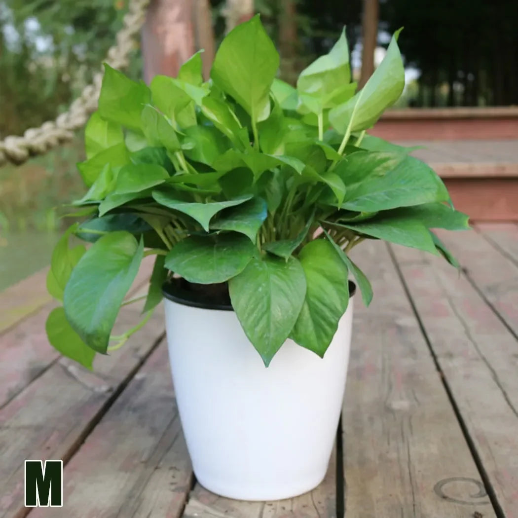 Lazy Plants Flower Pot Imitation Porcelain Home Garden Decor Automatic Water Absorption Self Watering Pot For Plants