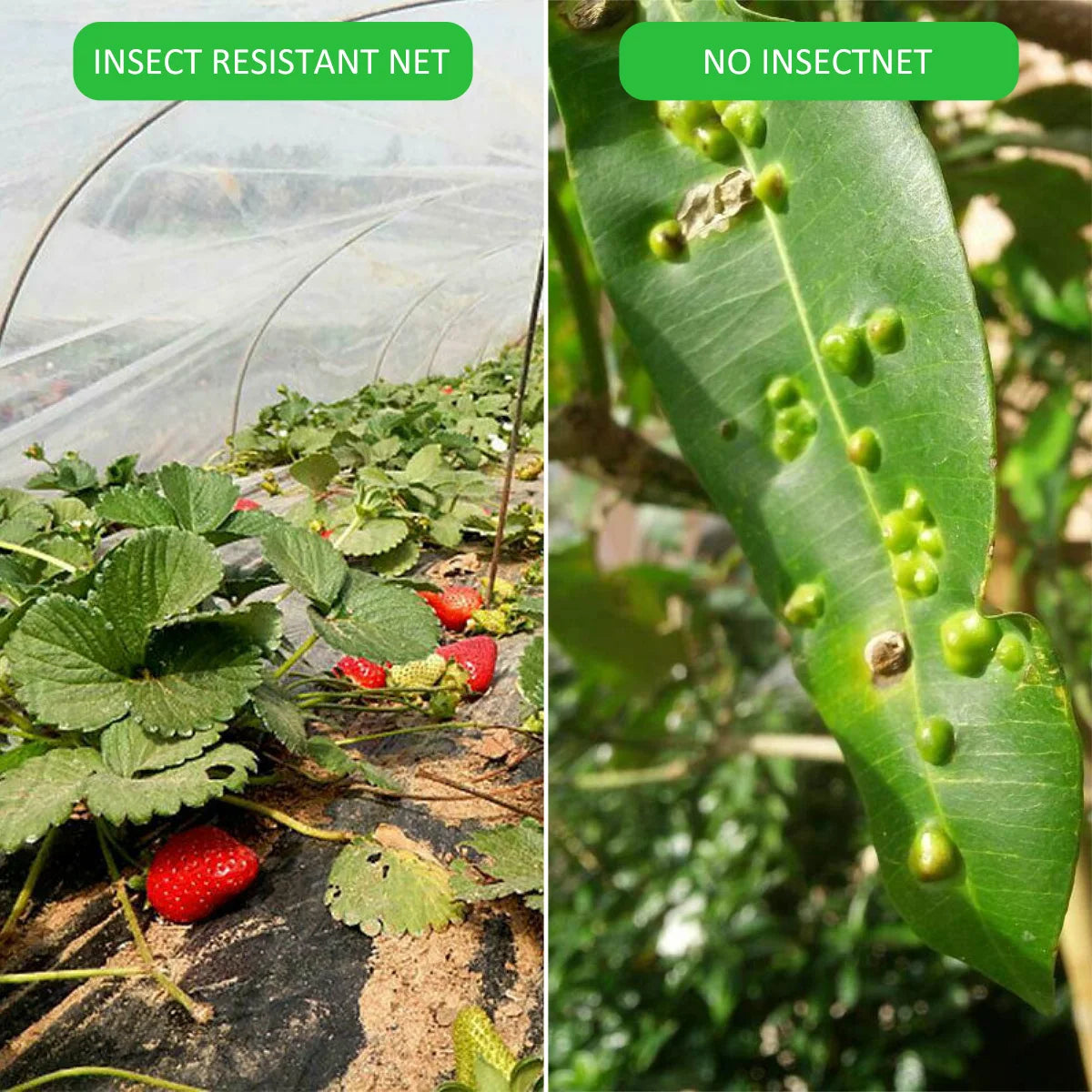 Insect Netting 1pc garden vegetable Heavy Duty Woven Mesh Heat Resistance Bug Net for Garden Protect Vegetable Plants and Fruit
