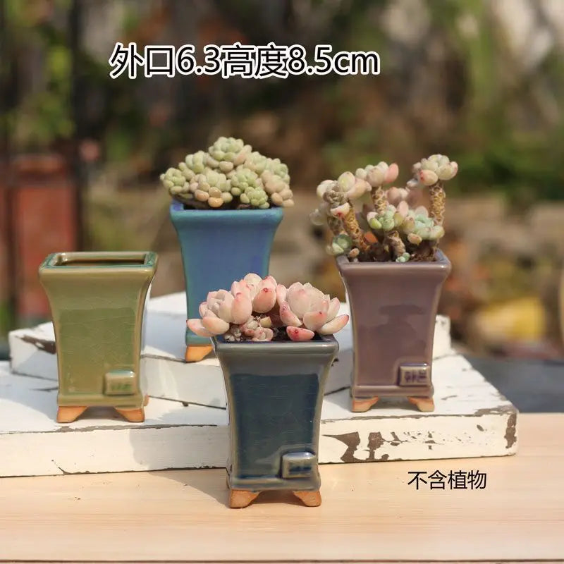 Combination Ceramic Breathable Small Flowerpot Cute Thumb Succulent Plant Flowerpot Home Mini Garden Bonsai Potted Flower Pot