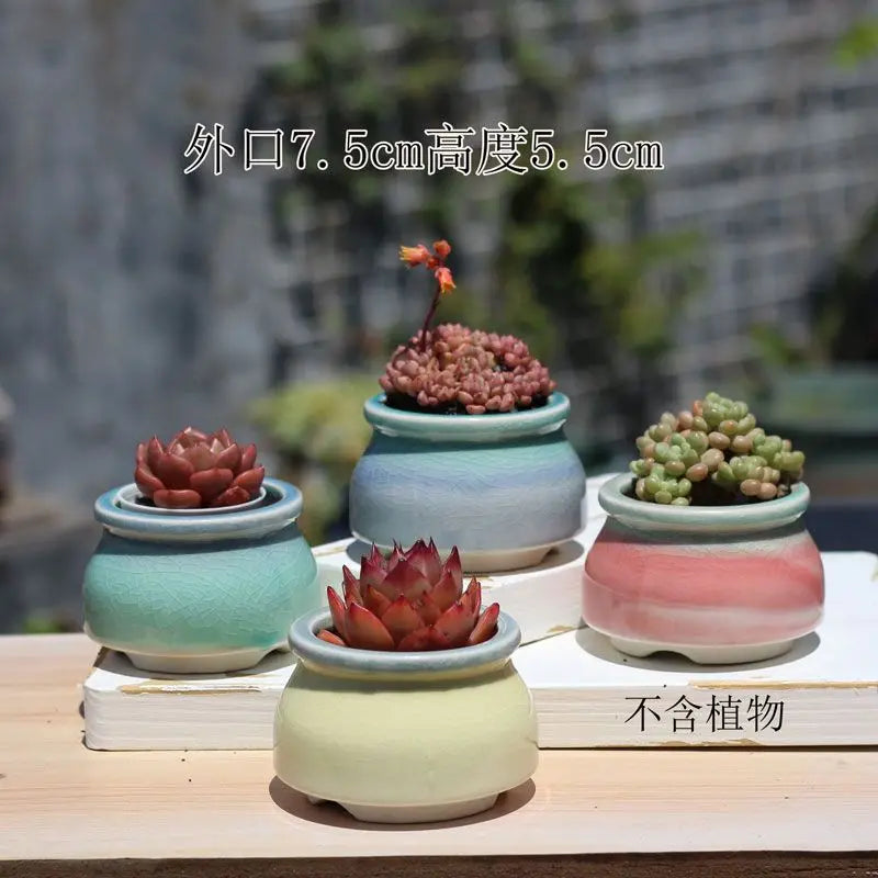 Combination Ceramic Breathable Small Flowerpot Cute Thumb Succulent Plant Flowerpot Home Mini Garden Bonsai Potted Flower Pot