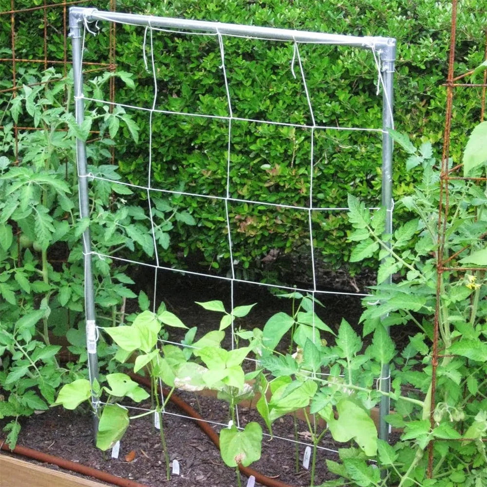 Garden Plant Trellis Netting Garden Square Mesh Netting for Climbing Plants Outdoor, Fruits, Vegetables, Vines, Grow Tents