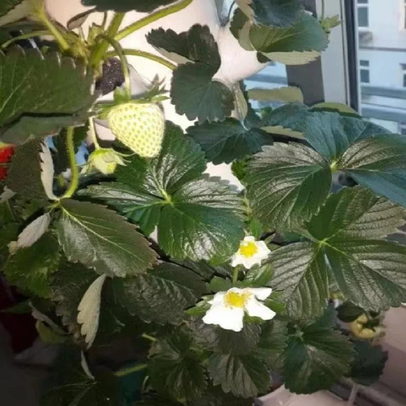 Hydroponic Growing System DIY Balcony Detachable Home Garden Greenhouse Vertical Tower Vegetable Planter