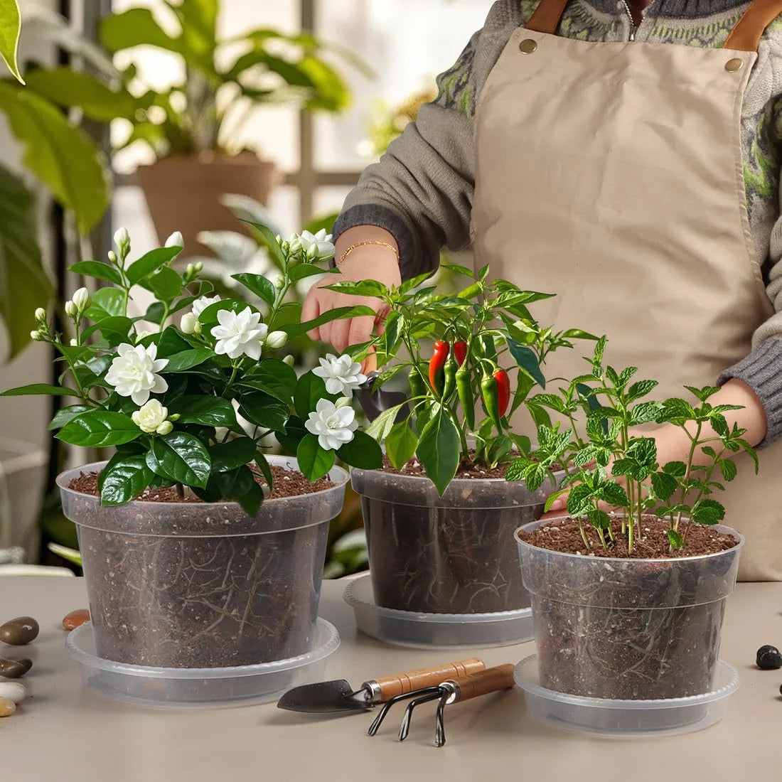 6Pcs 10/12/15/18/20/23CM Clear Nursery Pots Transparent Plastic Planter with Drainage Hole Seed Starting Pot Flower Plant Contai