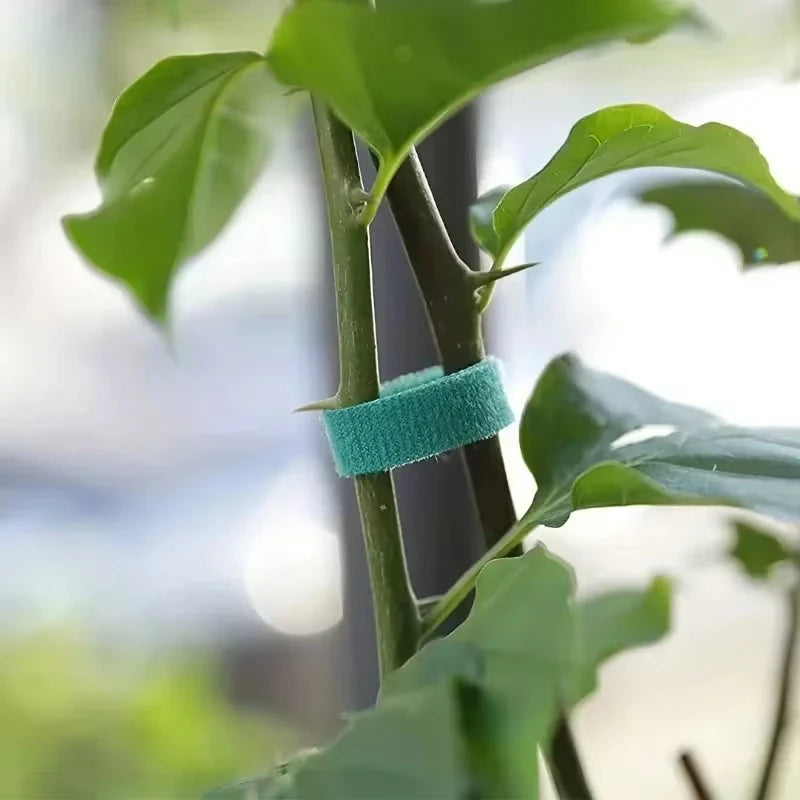 Self Adhesive Garden Tape Support For Plants Growing Climbing Reusable Plant Support Nylon Cable Tie Fastener Garden Accsesories