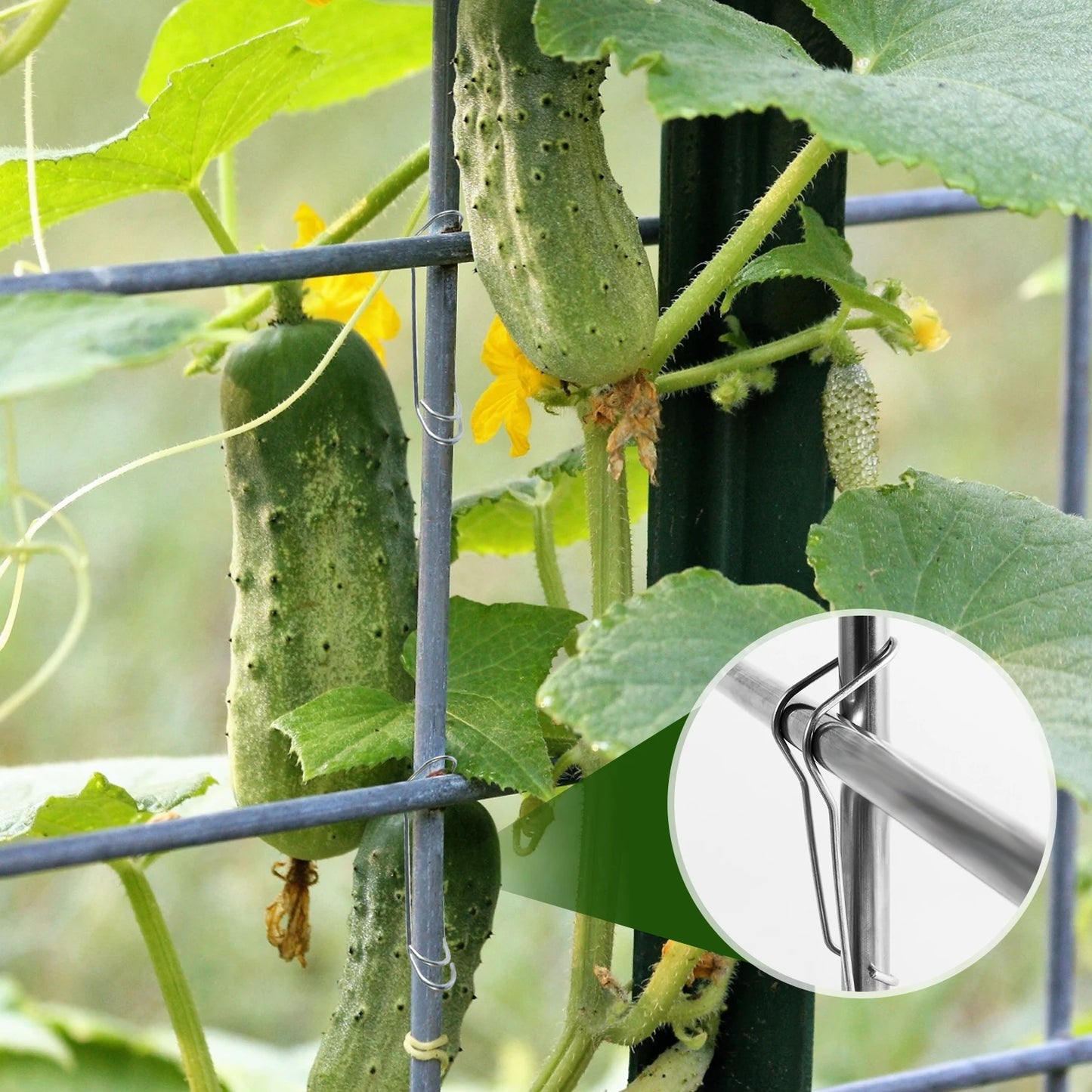 50Pcs Plant Trellis Connecting Buckles Climbing Pipe Support Fixing Tool Reusable Fixing Clamp for Garden Plant Connector