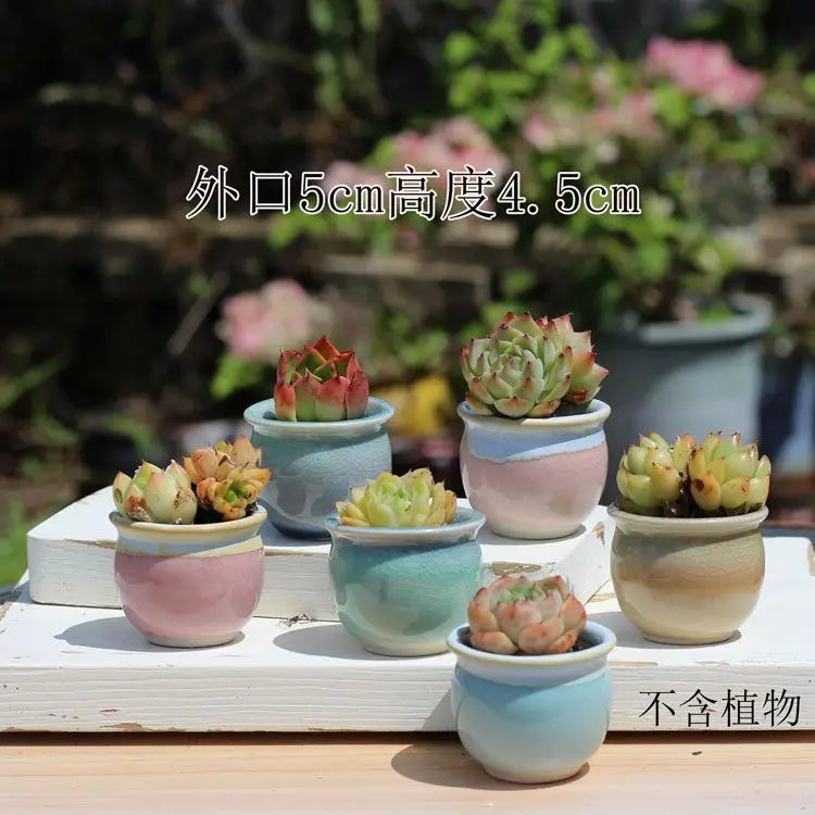 Combination Ceramic Breathable Small Flowerpot Cute Thumb Succulent Plant Flowerpot Home Mini Garden Bonsai Potted Flower Pot