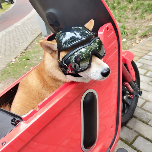 Protective Dog Helmet & Goggles Set for Biking & Outdoor Safety