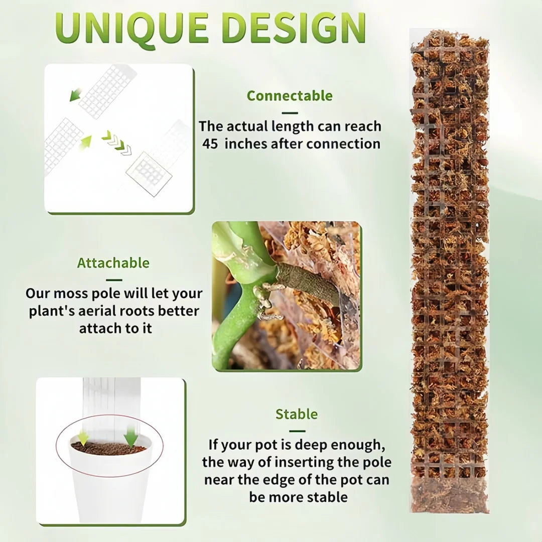 2/4/6Pcs Climbing Plant Water Moss Column Indoor Moss Pole Plants Plastic Pole for Sphagnum Support Potted Plants Sticks Creeper