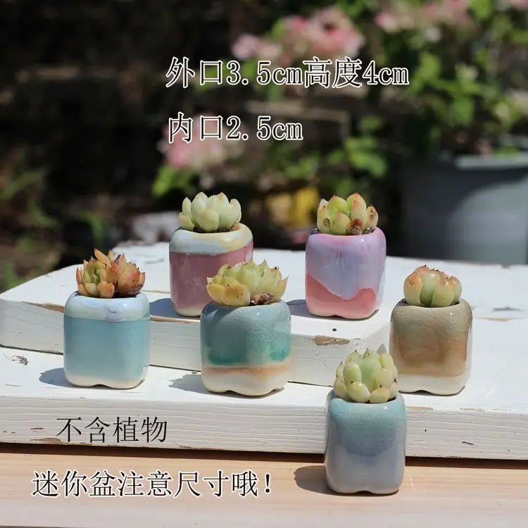 Combination Ceramic Breathable Small Flowerpot Cute Thumb Succulent Plant Flowerpot Home Mini Garden Bonsai Potted Flower Pot