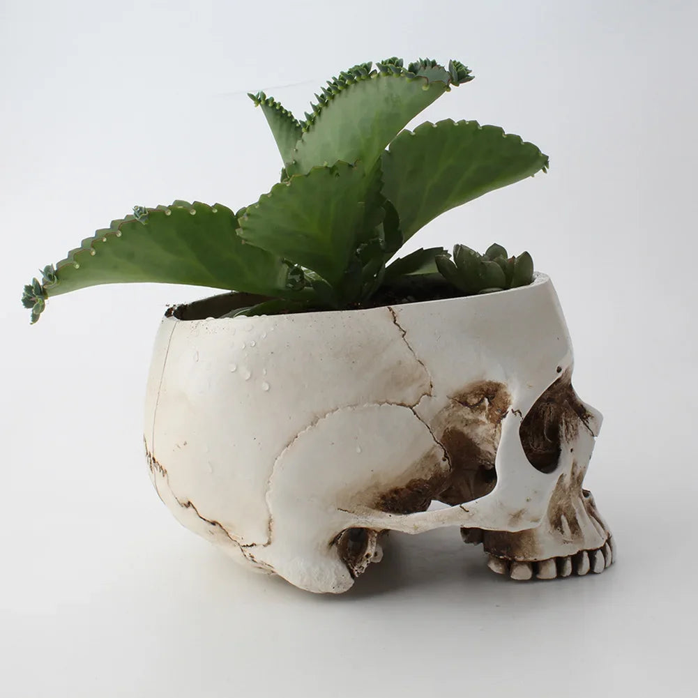 Resin Human Skull Model Flower Pot Shining Fancy Multifunctional Fruit Plate Storage Container Tank Container Home Decor Crafts