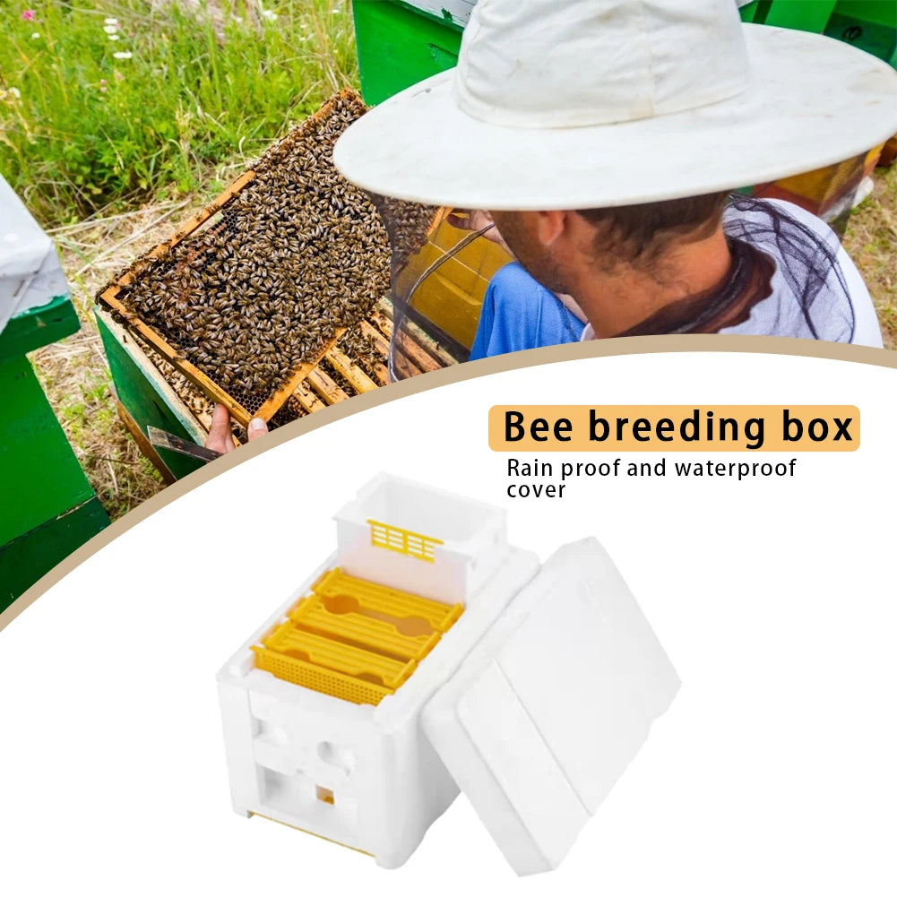 Bee Hive Frame Holder Equipment Kit Bee Hive Foam Beekeeping Box King Beehive Garden Bee Keeping Bee Tool Nest Case