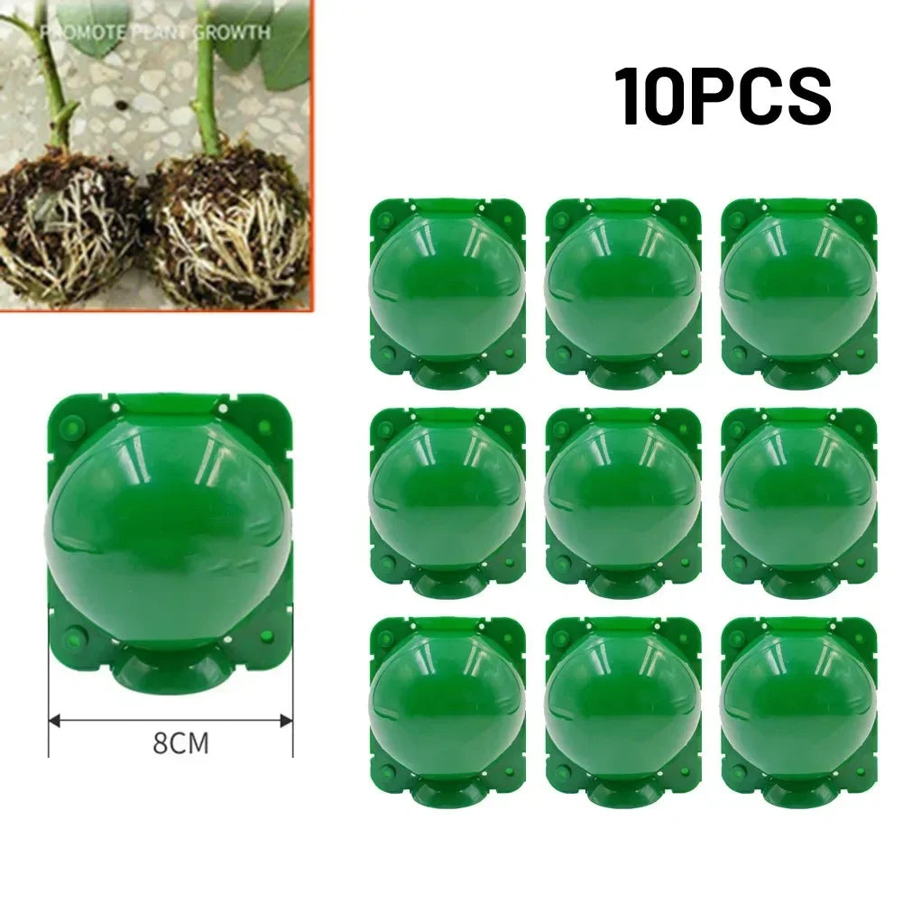 6/10Pcs Plant Rooting Ball High Pressure Graft Breeding Case Nursery Box Propagation Jardinage Plant Root Pot Garden Accessories