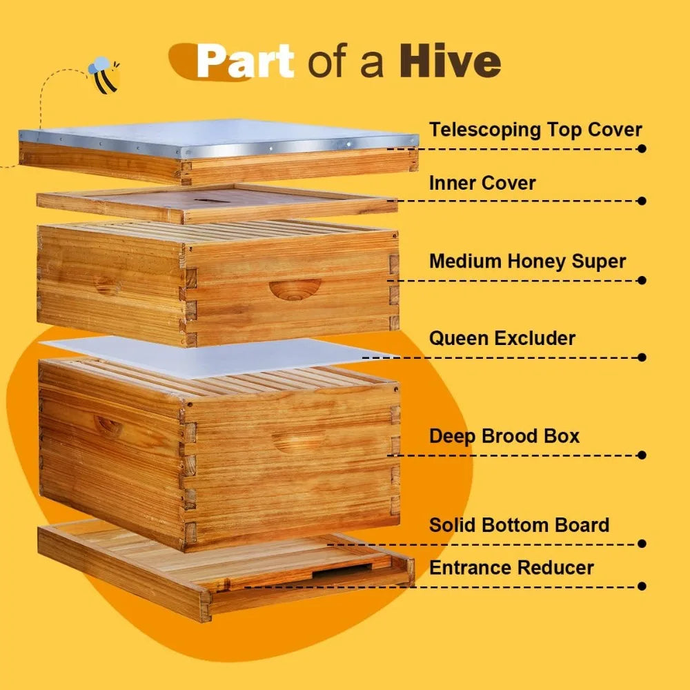 10 Frame Langstroth Beehive Kit Dipped in 100% Beeswax Bee Hives with 1 Deep Bee Box and 1 Medium Bee Hive Box with Frame