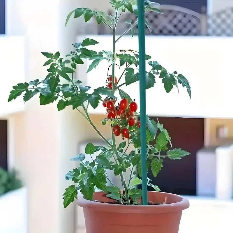 10-100pcs Plant Support Sticks Plants Green Plant Floral Vegetable Potted Tomato Supports Holder DIY Bouquets Decor Garden Tools