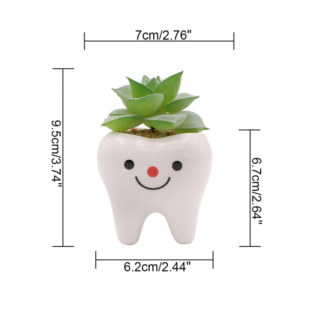 Cute Tooth Flowerpots Ceramic Garden Pots Planters Succulent Cactus Vases Decor Home Garden Decorative Tabletop Plant Pot