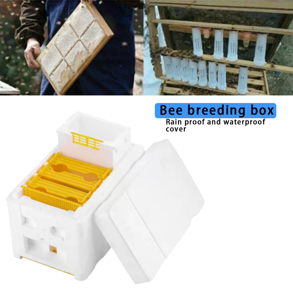 Bee Hive Frame Holder Equipment Kit Bee Hive Foam Beekeeping Box King Beehive Garden Bee Keeping Bee Tool Nest Case