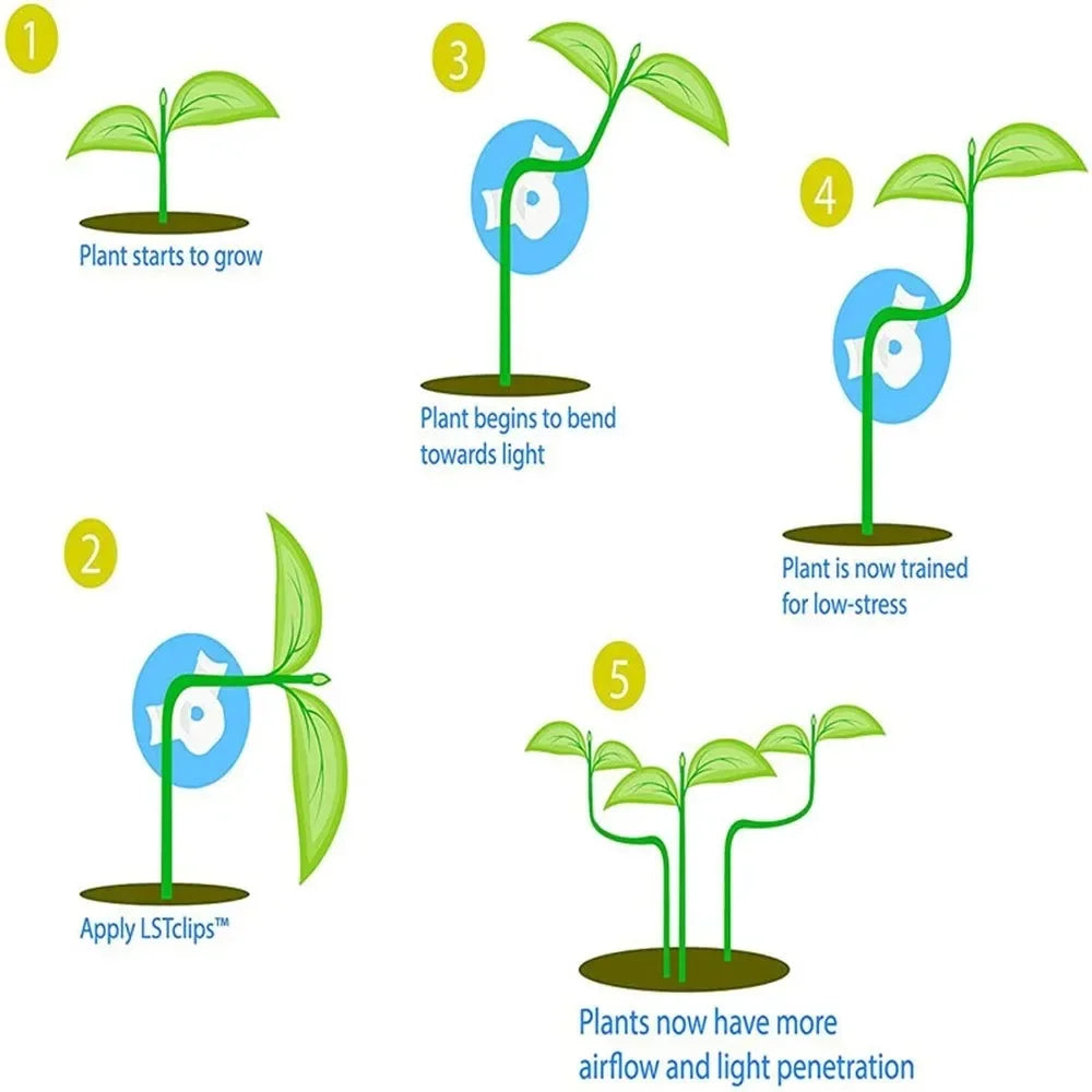 Plant Branches Bender Training Clips Garden Stem Trainer Clips 360 Degree Adjustable Planter Holder for Low Stress Training Tool
