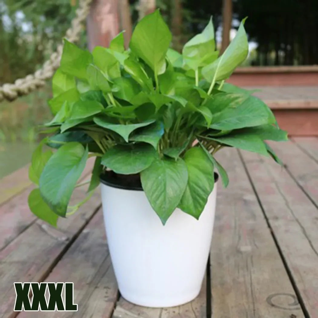 Lazy Plants Flower Pot Imitation Porcelain Home Garden Decor Automatic Water Absorption Self Watering Pot For Plants