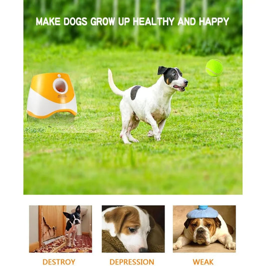 Dog Ball Launcher with 12 Tennis Balls - Automatic Fetch & Training Toy | AlluCanFind