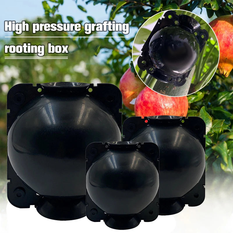 5Pcs Plant Root Growing Boxes Grafting Device Reusable Plant Rooting Device Ball Air Layering Propagation Kit Garden Supplies