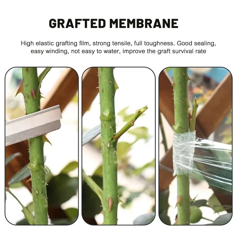 100/500m PE Grafting Tape Film Stretchable Self-adhesive Garden Tree Roll Tape Plants Seedlings Vine Tomato Grafting Accessories