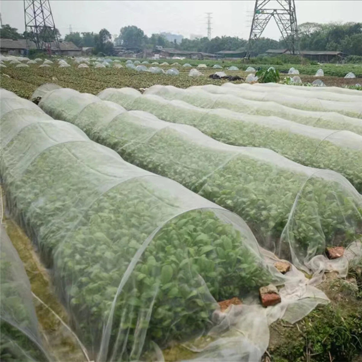 Insect Netting 1pc garden vegetable Heavy Duty Woven Mesh Heat Resistance Bug Net for Garden Protect Vegetable Plants and Fruit