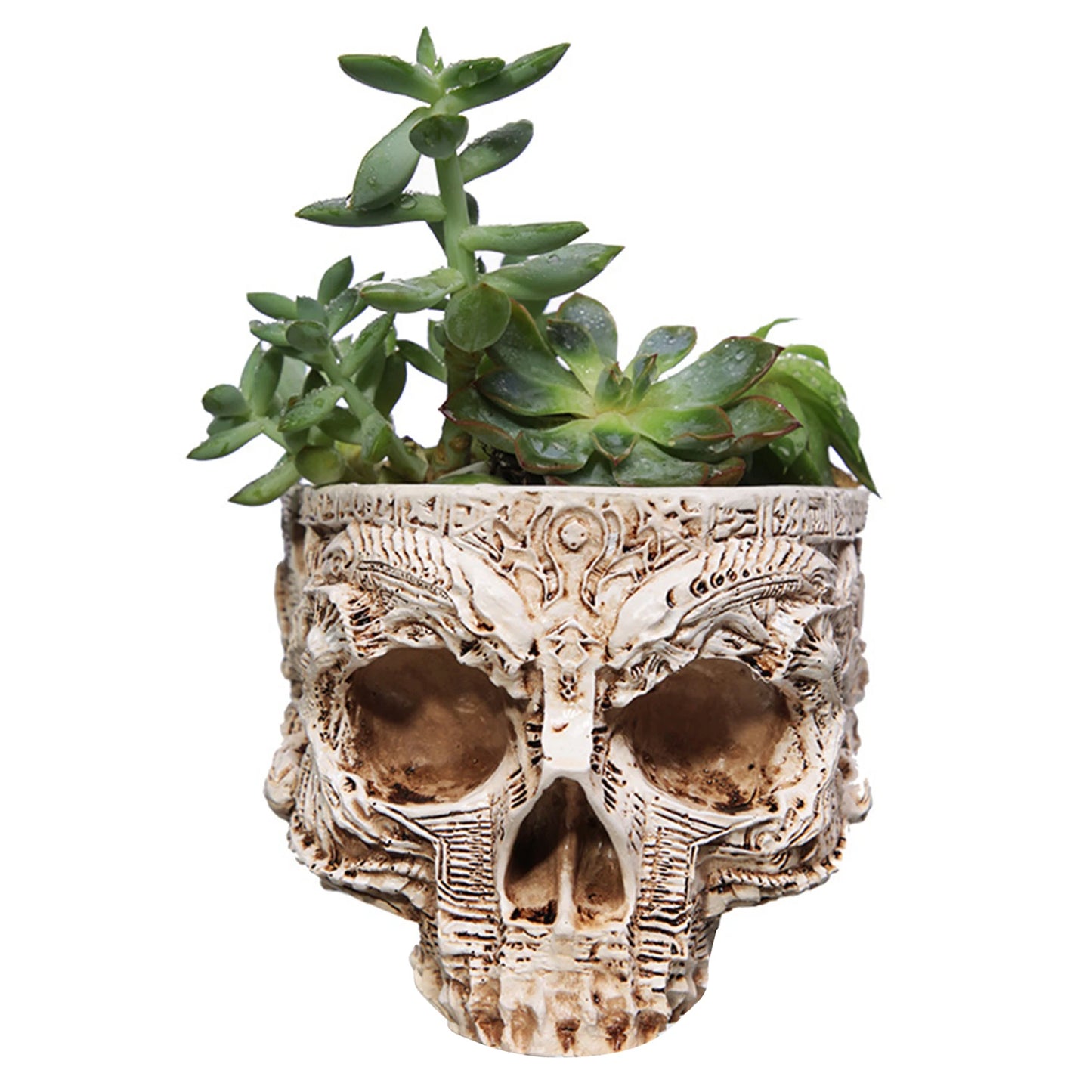 Resin Human Skull Model Flower Pot Multifunctional Gothic Skeleton Planter Container Home Decor Halloween Skeleton Flowerpot