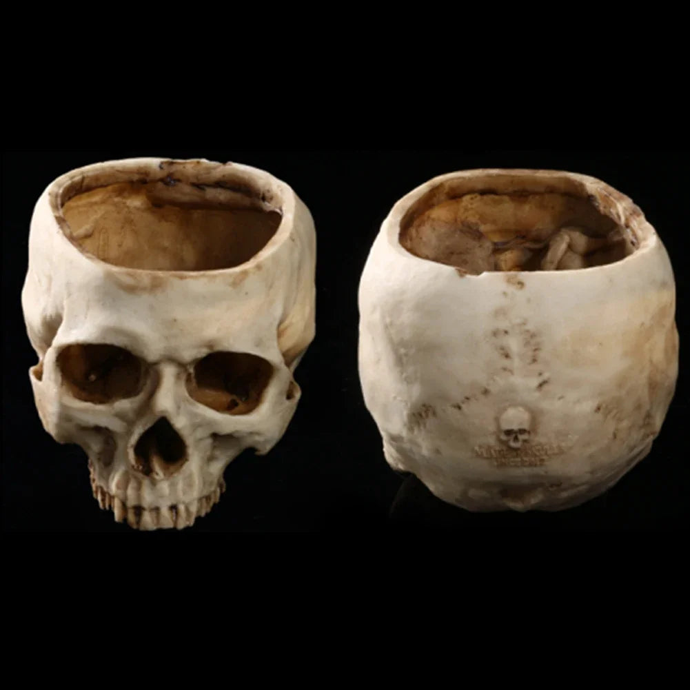 Resin Human Skull Model Flower Pot Shining Fancy Multifunctional Fruit Plate Storage Container Tank Container Home Decor Crafts