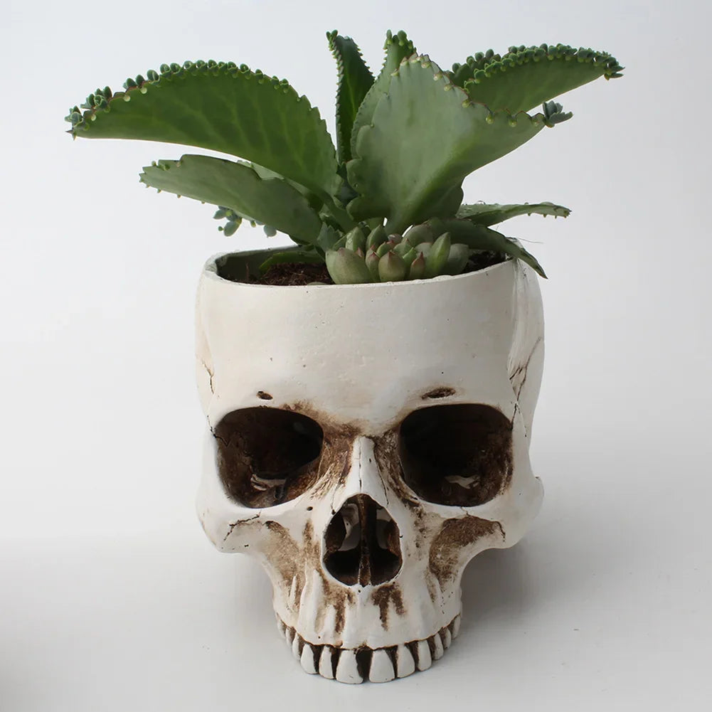 Resin Human Skull Model Flower Pot Shining Fancy Multifunctional Fruit Plate Storage Container Tank Container Home Decor Crafts
