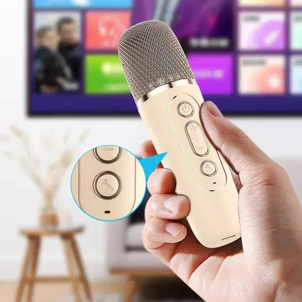 Portable Bluetooth Karaoke Machine - Wireless Speaker w/ 2 Microphones, RGB, for Kids Home Gift | AlluCanFind