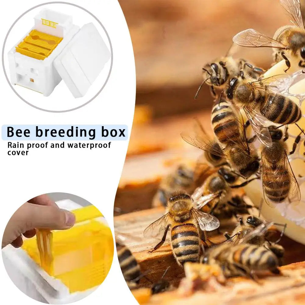 Bee Hive Frame Holder Equipment Kit Bee Hive Foam Beekeeping Box King Beehive Garden Bee Keeping Bee Tool Nest Case