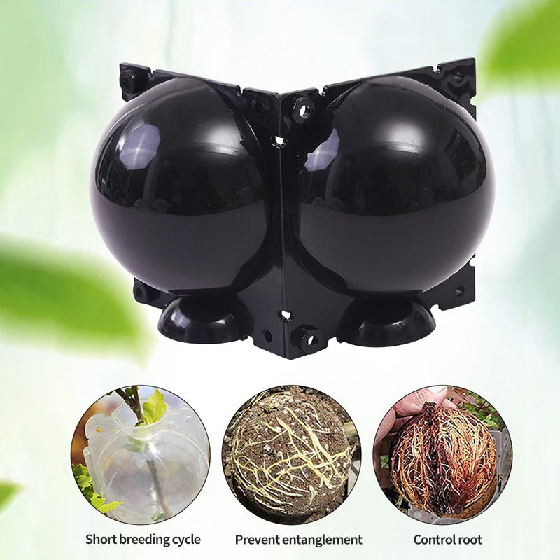 5Pcs Plant Root Growing Boxes Grafting Device Reusable Plant Rooting Device Ball Air Layering Propagation Kit Garden Supplies