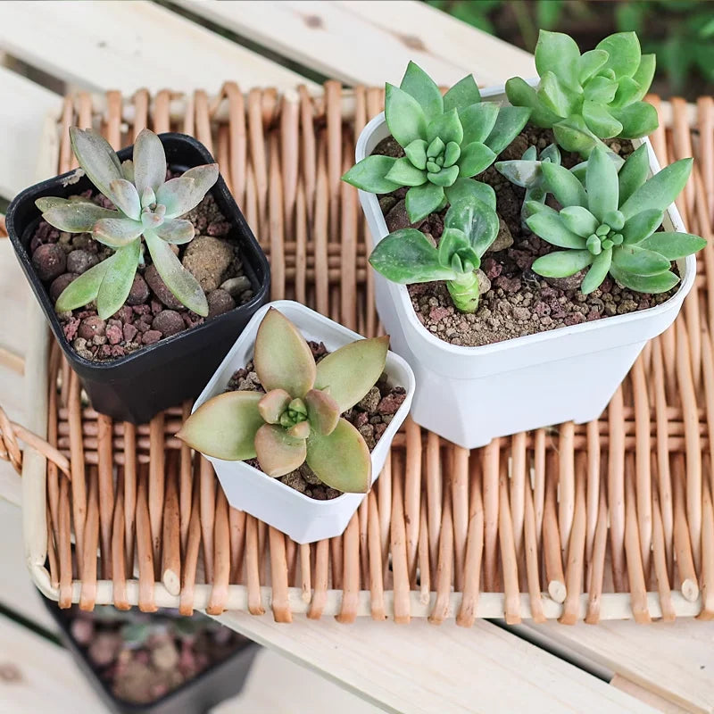 New Thicken Flower Pots Succulents Plant Small Square Planter Cactus Mini Bonsai Pot Tray Creative Home Office Decor Garden Tool