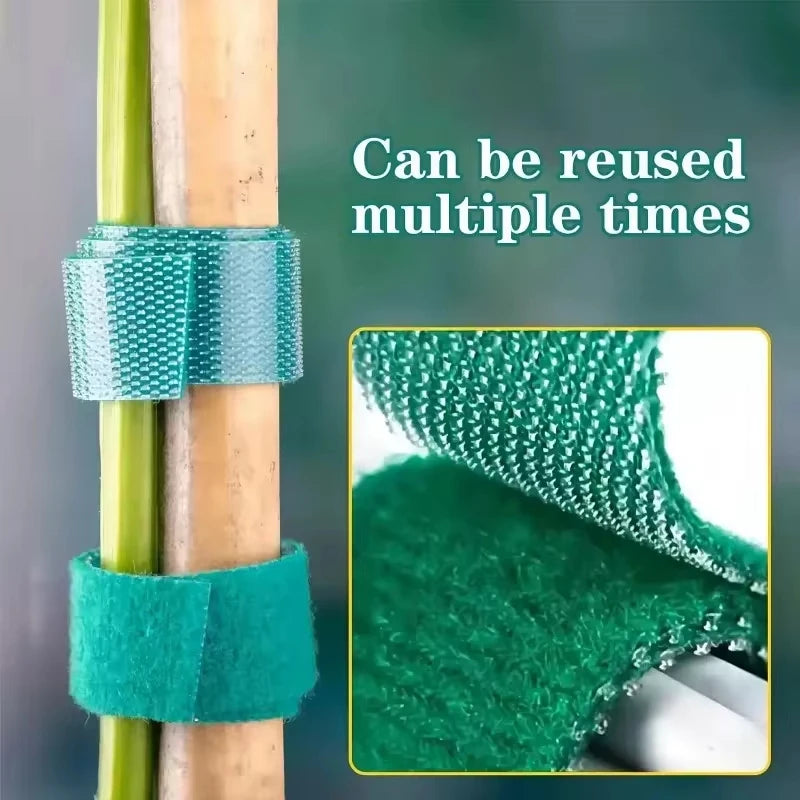Self Adhesive Garden Tape Support For Plants Growing Climbing Reusable Plant Support Nylon Cable Tie Fastener Garden Accsesories