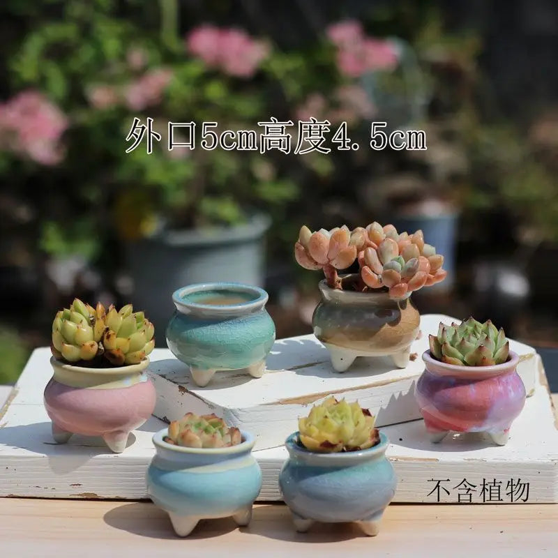 Combination Ceramic Breathable Small Flowerpot Cute Thumb Succulent Plant Flowerpot Home Mini Garden Bonsai Potted Flower Pot