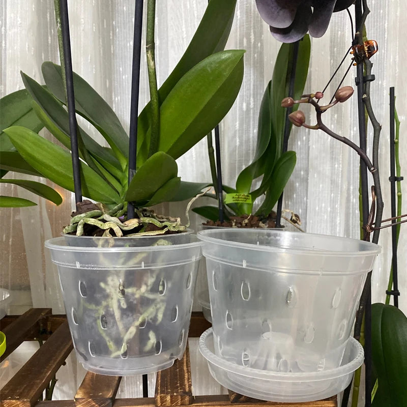 5 Pcs Transparent Orchid Pot Root Control Plastic Orchid Pots With Holes Breathable Plant Growth Container Garden Supplies