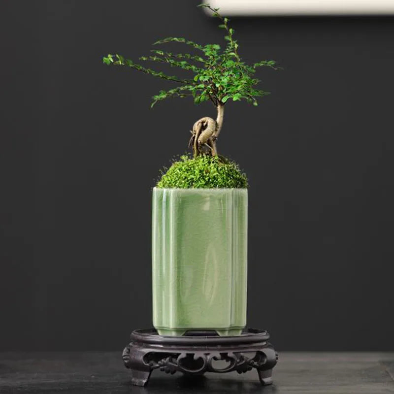 Porcelain Square Celadon Glazed Orchid Flowerpot Bonsai Vase Plant Pot Crafts Art Ornaments Home Garden Decor