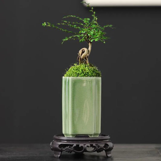 Porcelain Square Celadon Glazed Orchid Flowerpot Bonsai Vase Plant Pot Crafts Art Ornaments Home Garden Decor