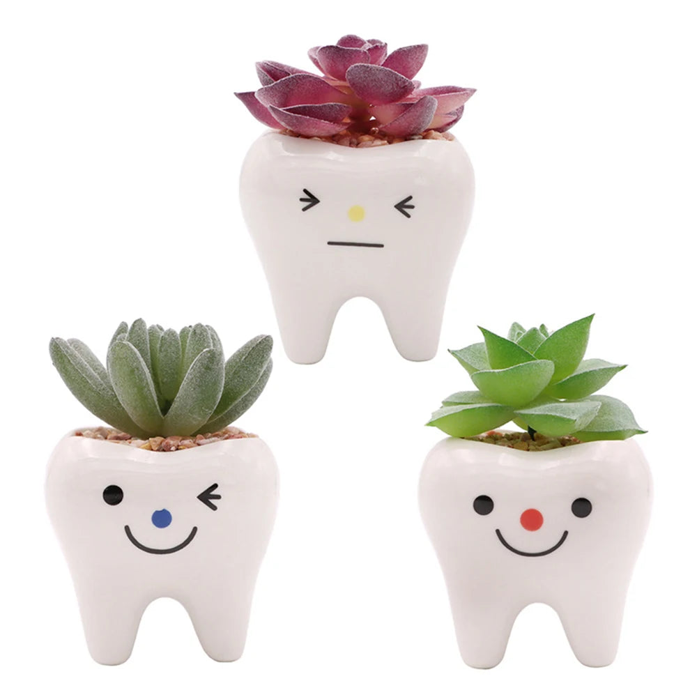 Cute Tooth Flowerpots Ceramic Garden Pots Planters Succulent Cactus Vases Decor Home Garden Decorative Tabletop Plant Pot