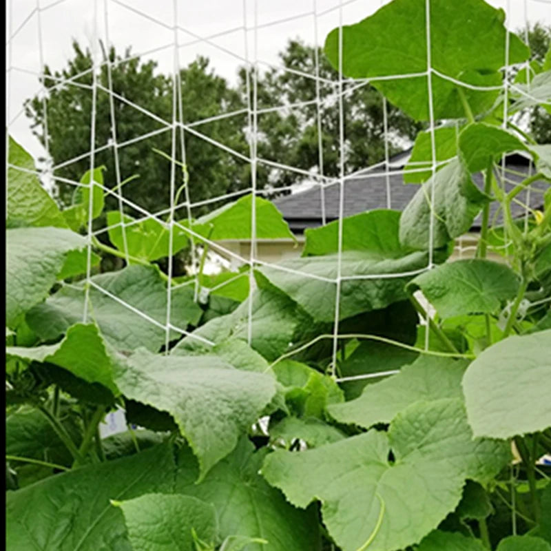Garden Plant Trellis Netting Garden Square Mesh Netting for Climbing Plants Outdoor, Fruits, Vegetables, Vines, Grow Tents