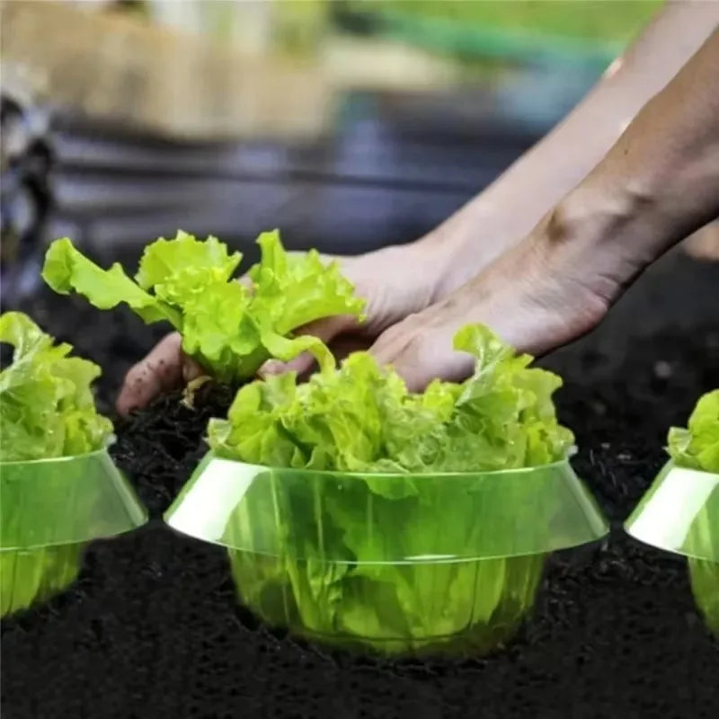 10x Plant Garden Protective Cover Snail Collar Slug Flower Pot Guard Protectors Reusable Agricultural Plant Guard From Insects