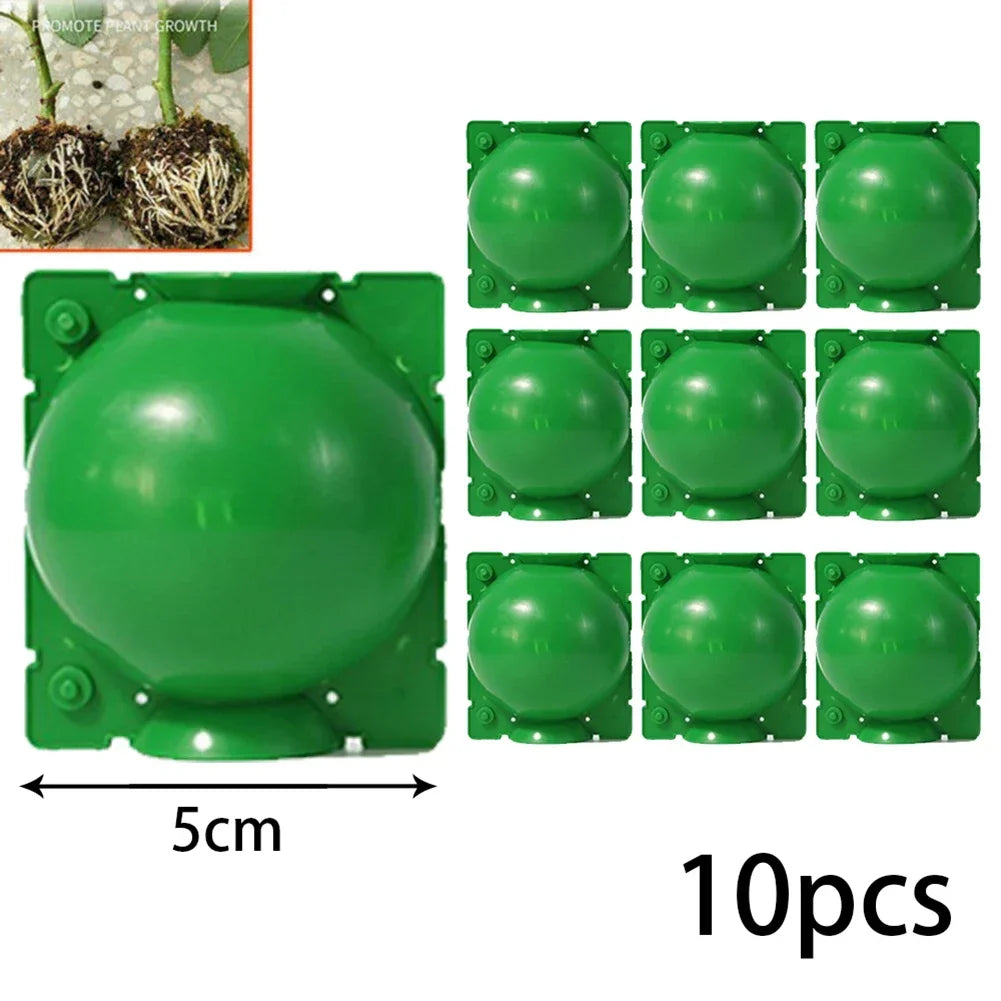 6/10Pcs Plant Rooting Ball High Pressure Graft Breeding Case Nursery Box Propagation Jardinage Plant Root Pot Garden Accessories