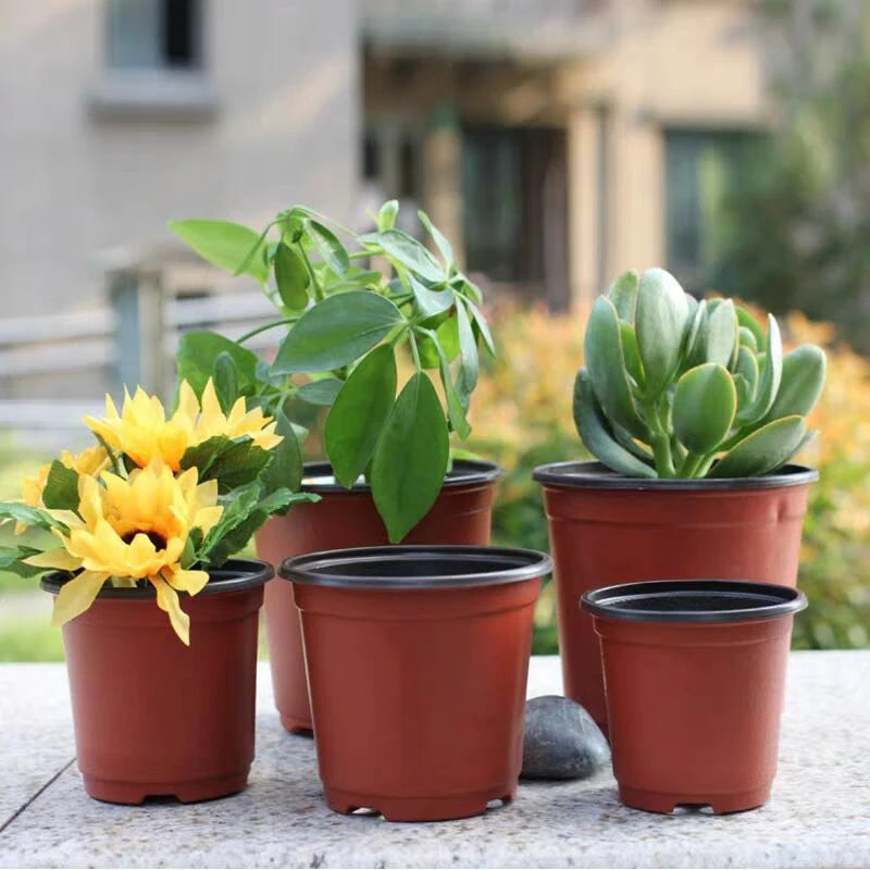 20pcs/50Pcs Thin section Plastic Grow Box Fall Resistant Tray For Home Garden Plant Pot Nursery Transplant Flower ling Pots D4
